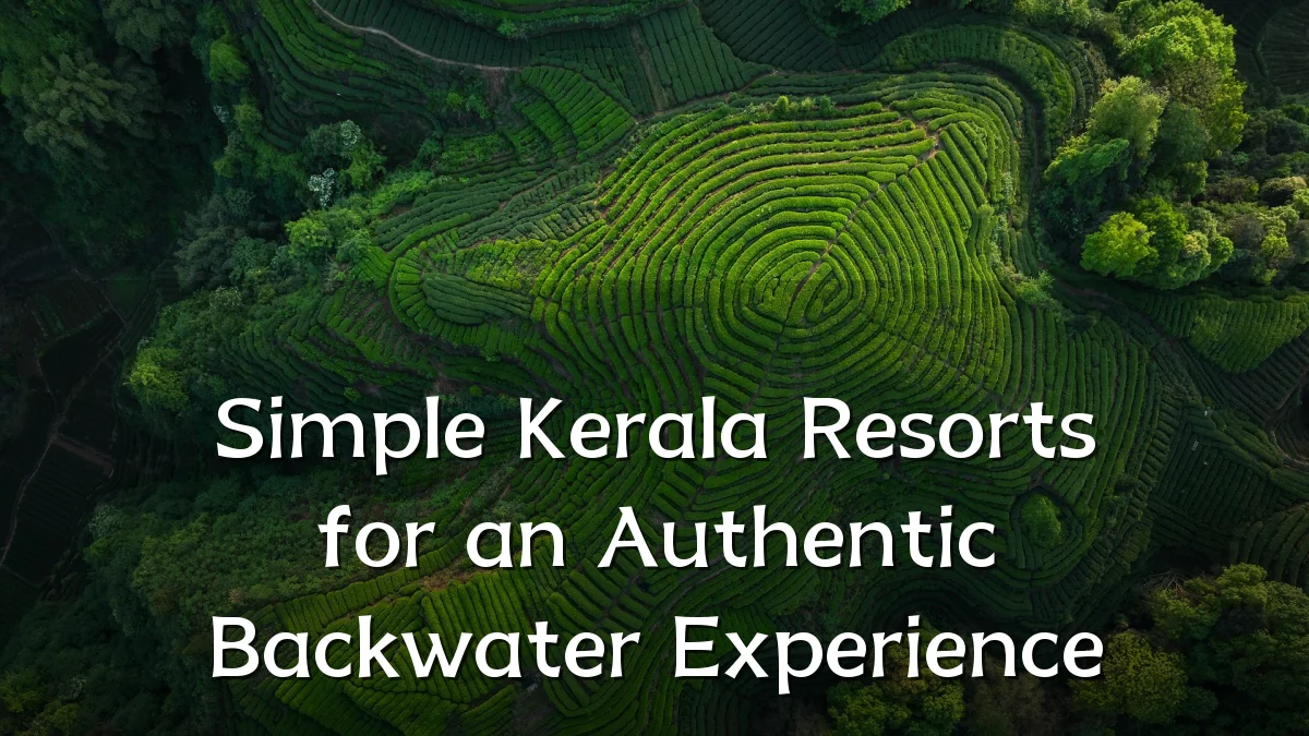 Simple Kerala Resorts for an Authentic Backwater Experience