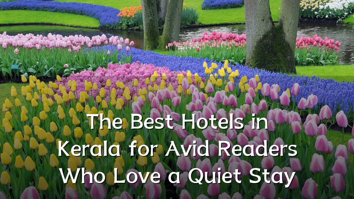 The Best Hotels in Kerala for Avid Readers Who Love a Quiet Stay