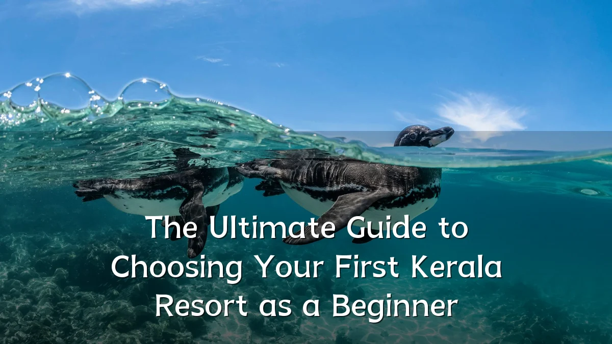 The Ultimate Guide to Choosing Your First Kerala Resort as a Beginner