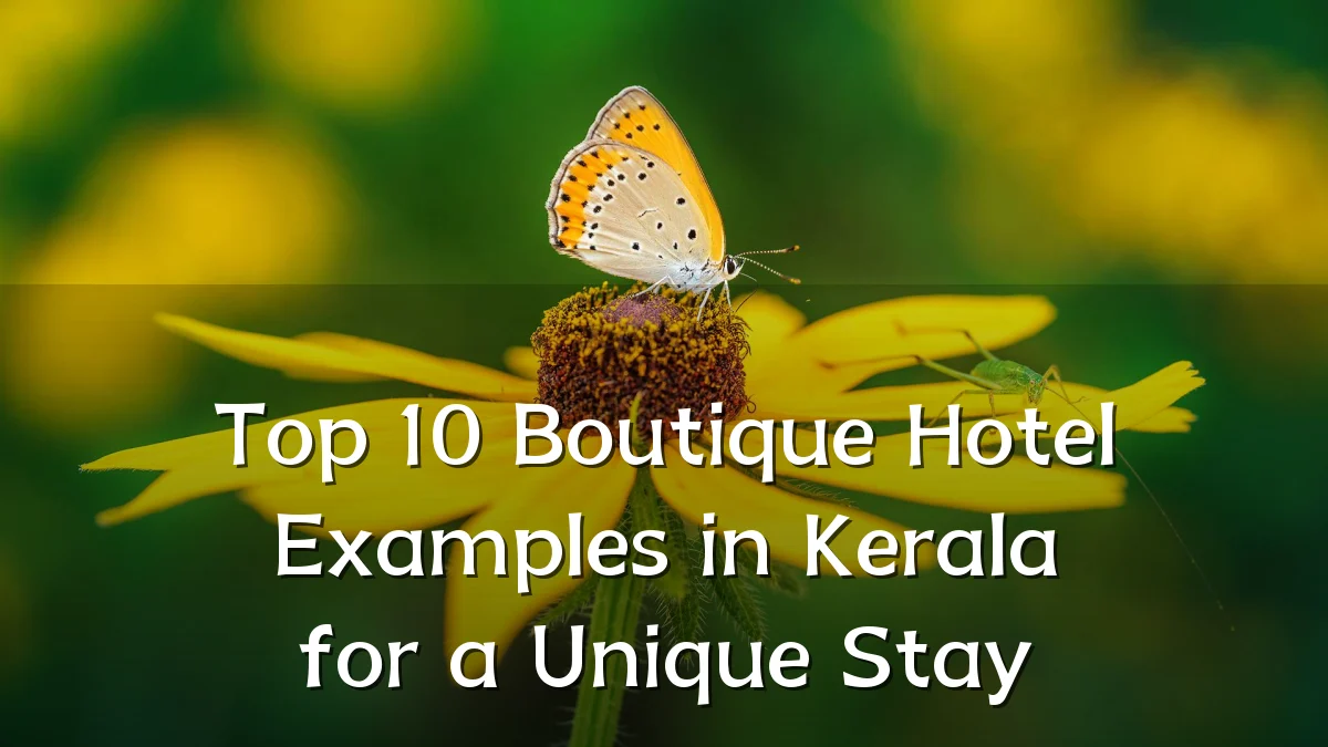 Top 10 Boutique Hotel Examples in Kerala for a Unique Stay