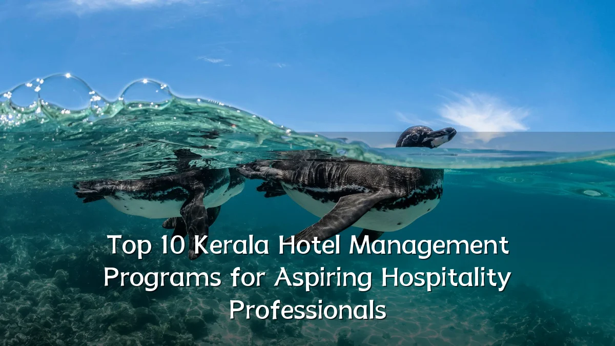 Top 10 Kerala Hotel Management Programs for Aspiring Hospitality Professionals