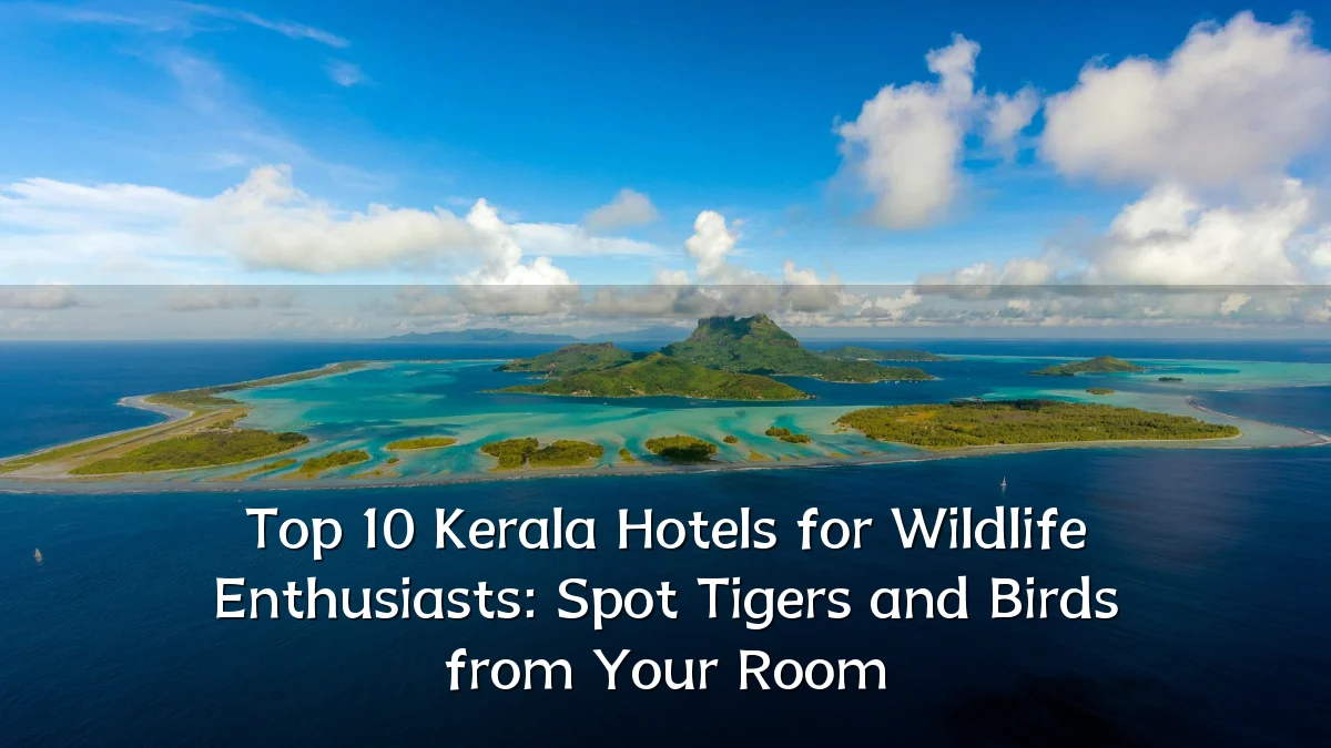 Top 10 Kerala Hotels for Wildlife Enthusiasts: Spot Tigers and Birds from Your Room