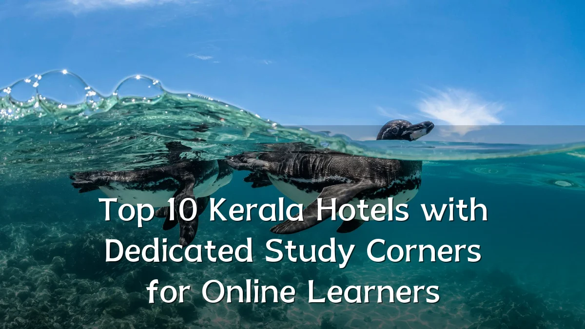 Top 10 Kerala Hotels with Dedicated Study Corners for Online Learners