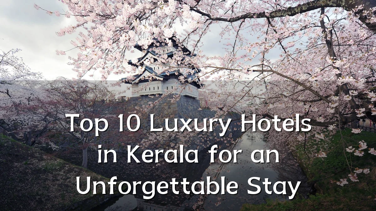 Top 10 Luxury Hotels in Kerala for an Unforgettable Stay