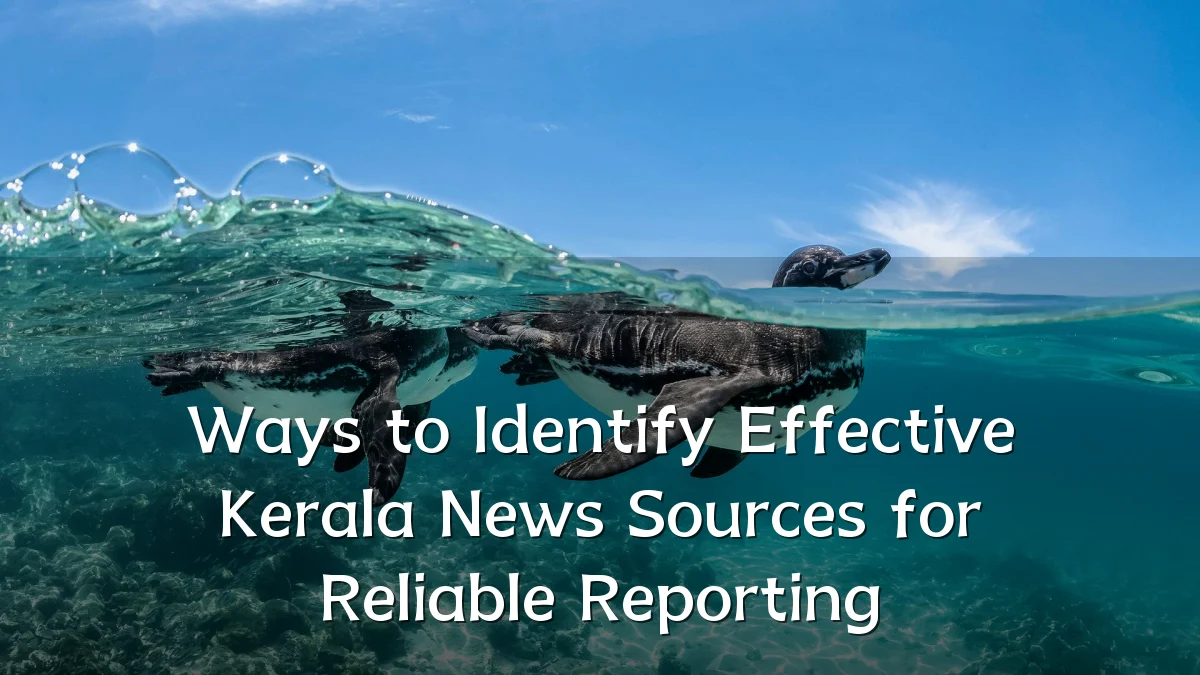 Ways to Identify Effective Kerala News Sources for Reliable Reporting