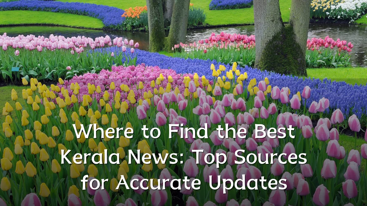 Where to Find the Best Kerala News: Top Sources for Accurate Updates
