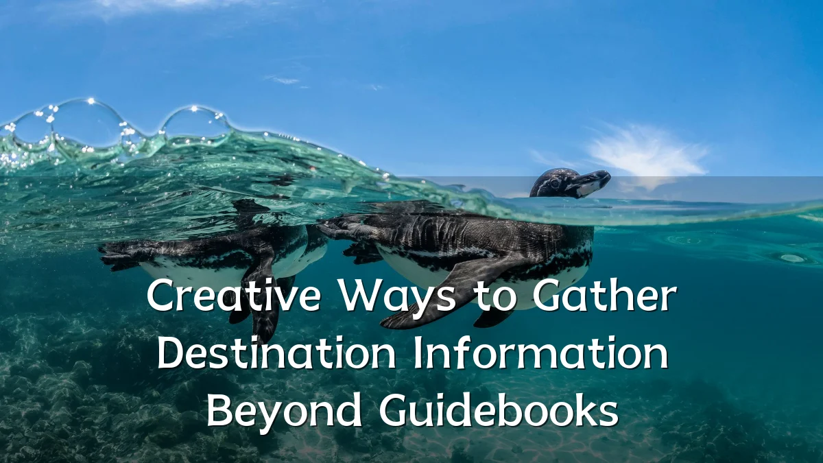 Creative Ways to Gather Destination Information Beyond Guidebooks