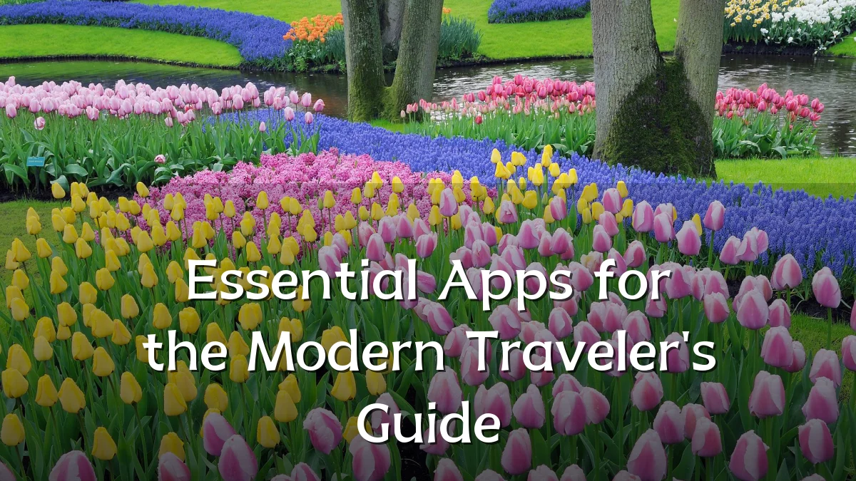 Essential Apps for the Modern Traveler's Guide