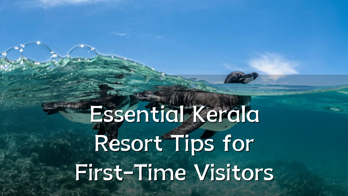 Essential Kerala Resort Tips for First-Time Visitors