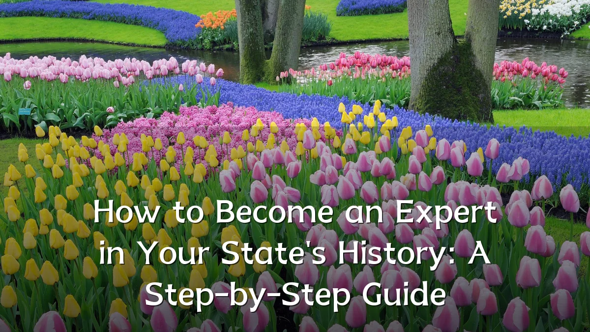 How to Become an Expert in Your State's History: A Step-by-Step Guide
