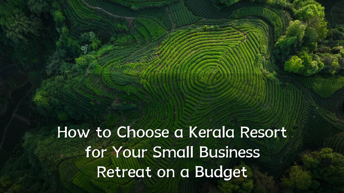 How to Choose a Kerala Resort for Your Small Business Retreat on a Budget