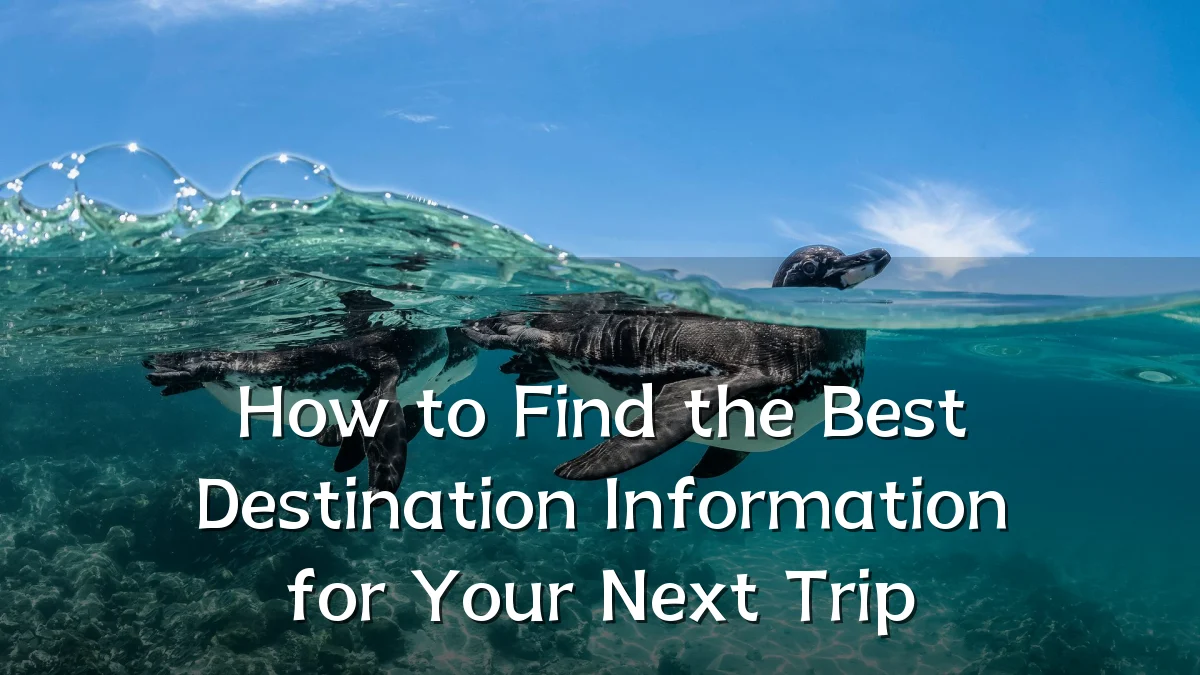 How to Find the Best Destination Information for Your Next Trip