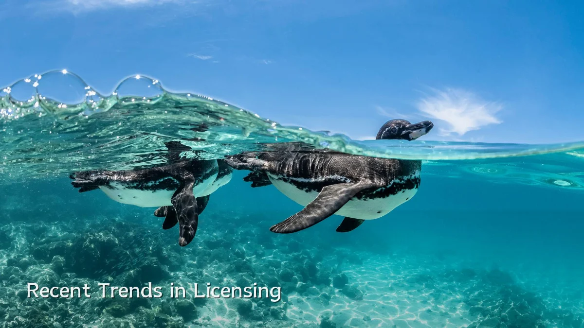 Recent Trends in Licensing