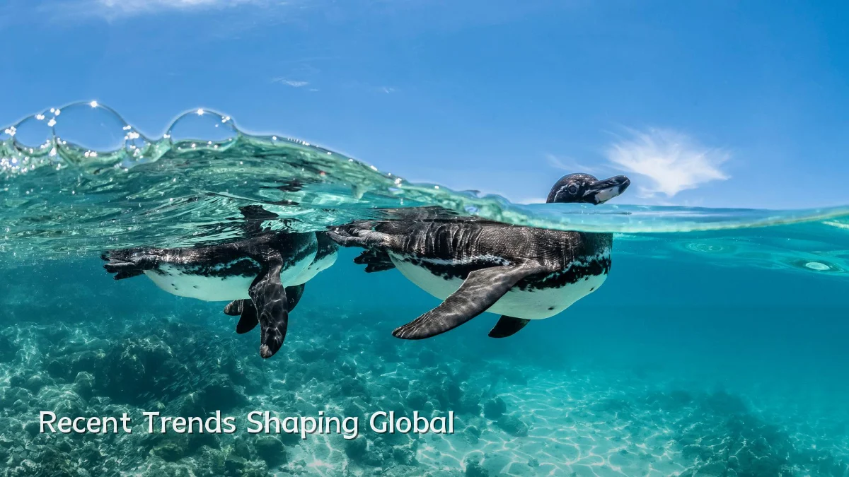 Recent Trends Shaping Global