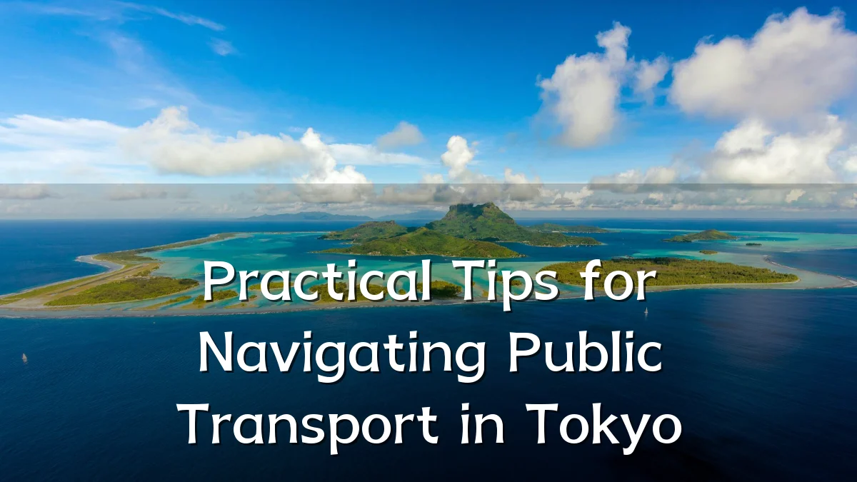 Practical Tips for Navigating Public Transport in Tokyo