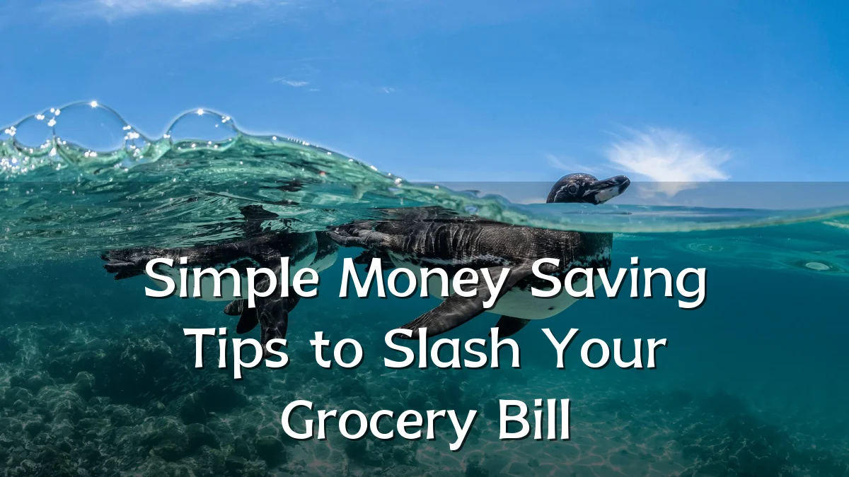 Simple Money Saving Tips to Slash Your Grocery Bill