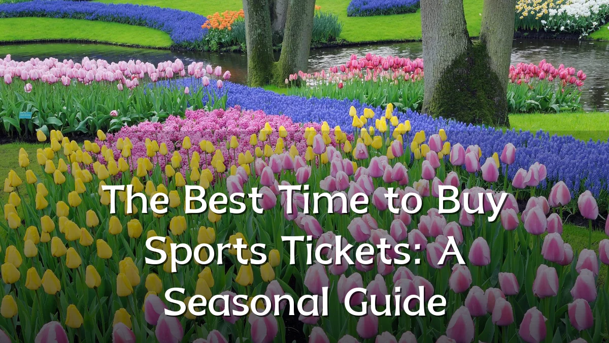 The Best Time to Buy Sports Tickets: A Seasonal Guide