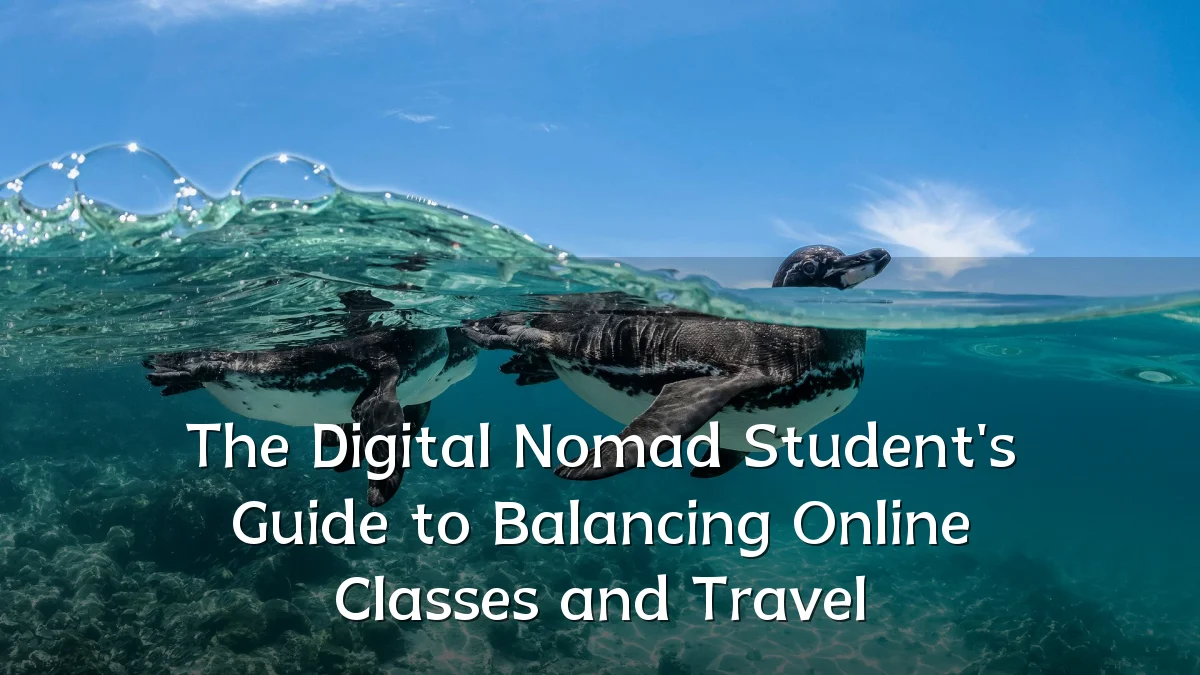 The Digital Nomad Student's Guide to Balancing Online Classes and Travel