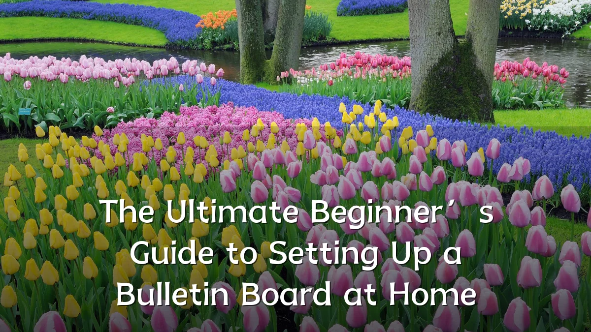 The Ultimate Beginner’s Guide to Setting Up a Bulletin Board at Home