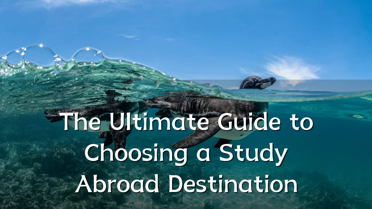 The Ultimate Guide to Choosing a Study Abroad Destination