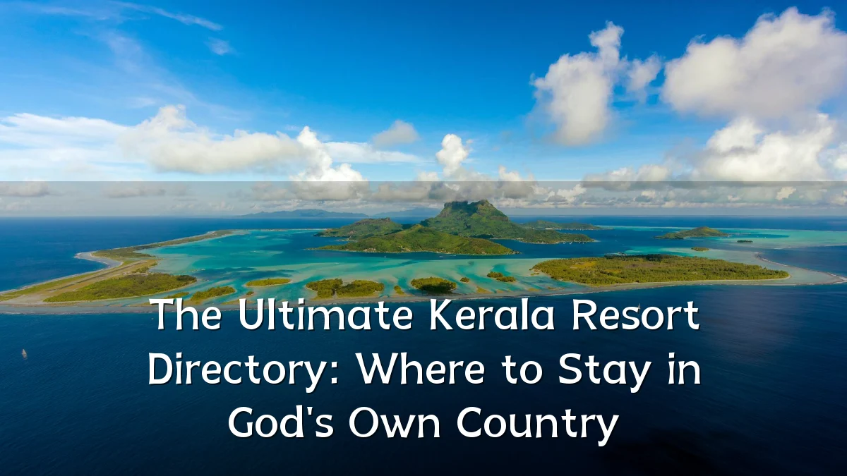 The Ultimate Kerala Resort Directory: Where to Stay in God's Own Country