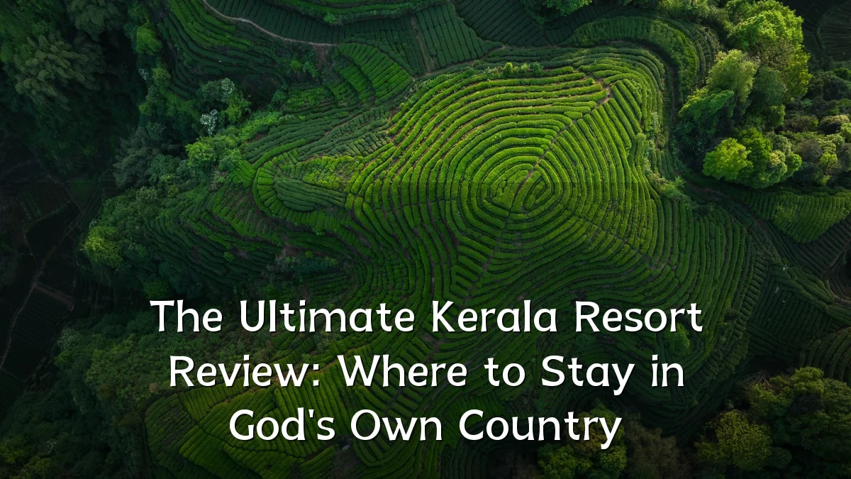 The Ultimate Kerala Resort Review: Where to Stay in God's Own Country