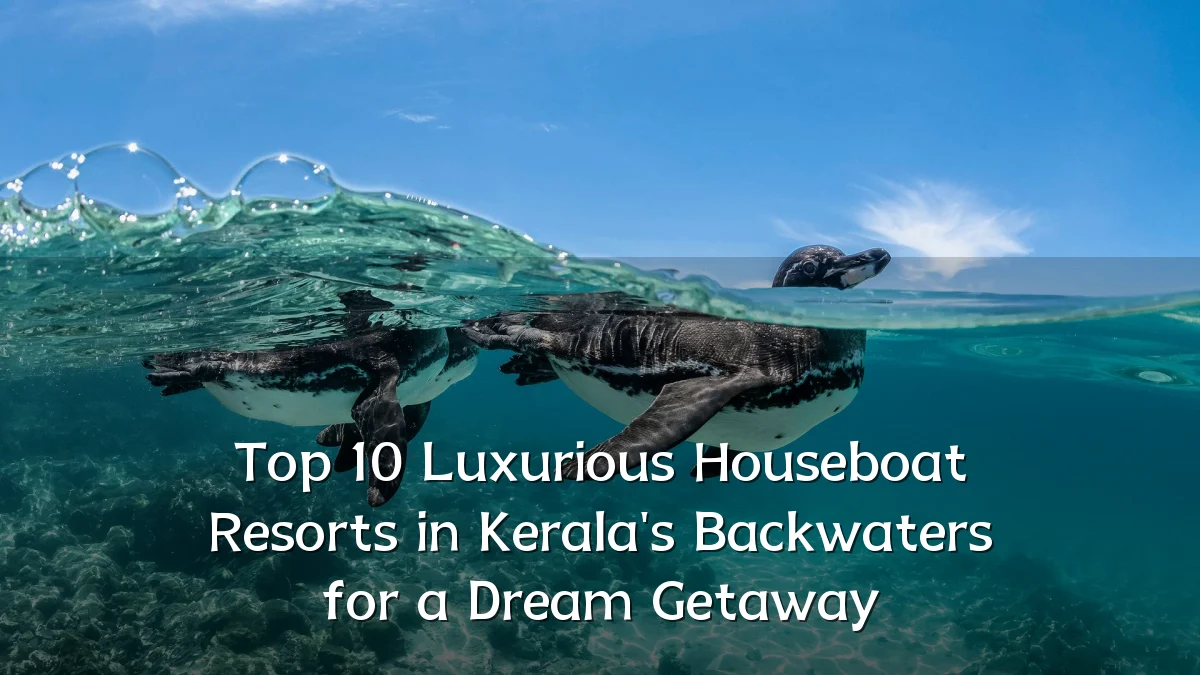 Top 10 Luxurious Houseboat Resorts in Kerala's Backwaters for a Dream Getaway