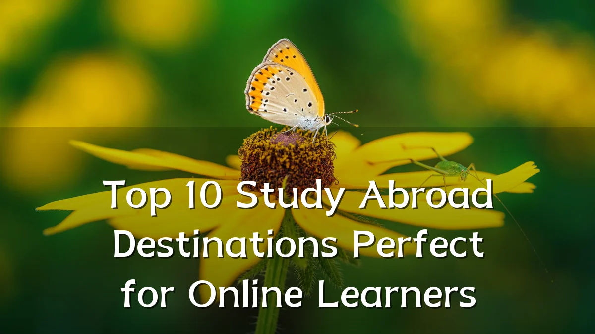 Top 10 Study Abroad Destinations Perfect for Online Learners