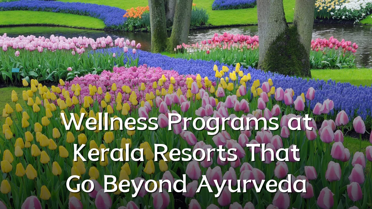 Wellness Programs at Kerala Resorts That Go Beyond Ayurveda