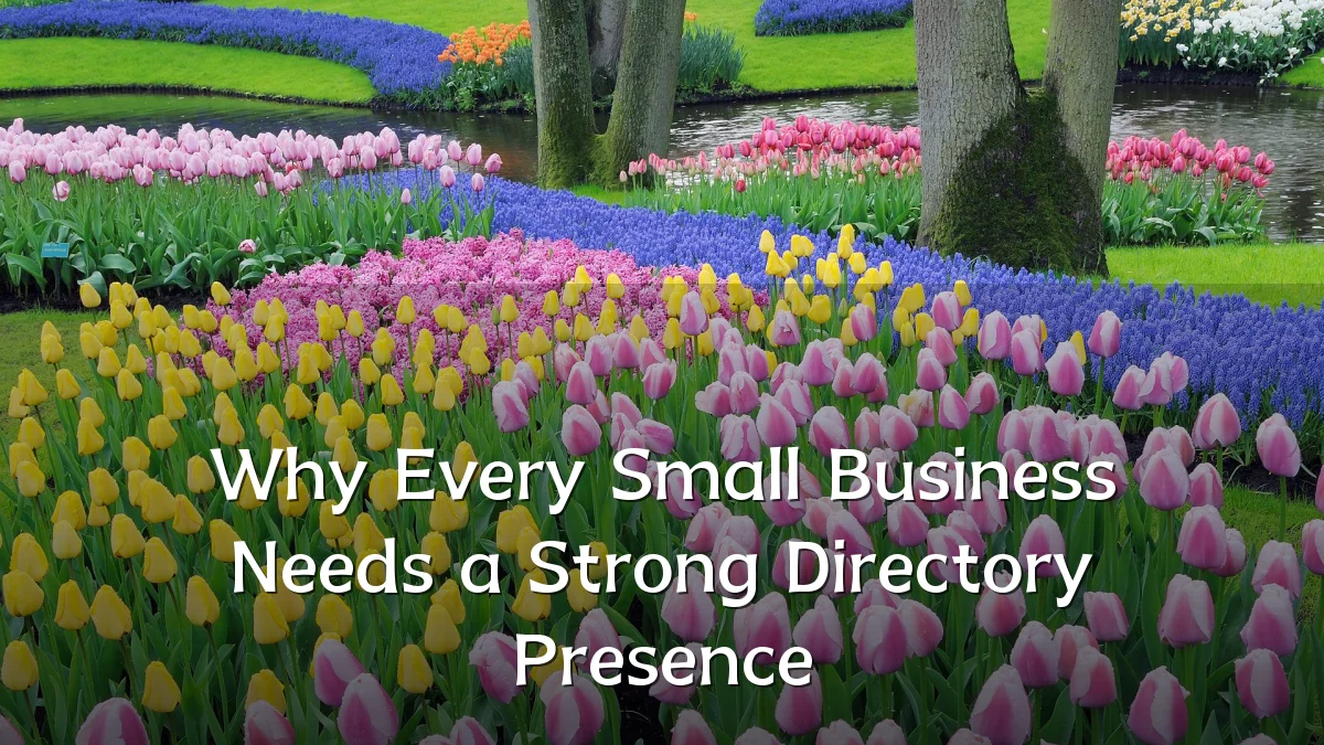 Why Every Small Business Needs a Strong Directory Presence