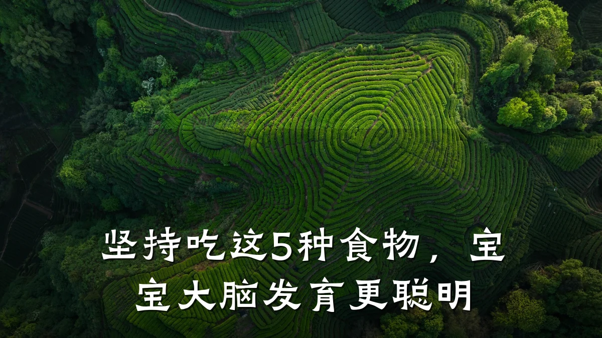 坚持吃这5种食物,宝宝大脑发育更聪明