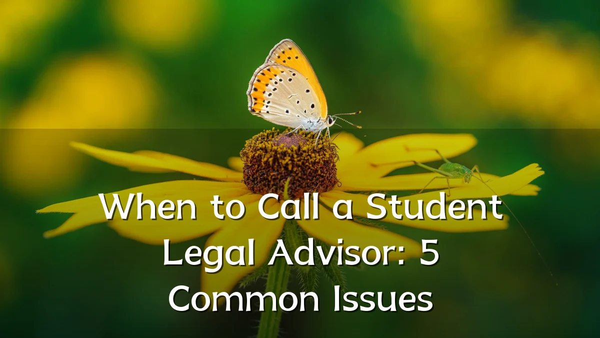 When to Call a Student Legal Advisor: 5 Common Issues