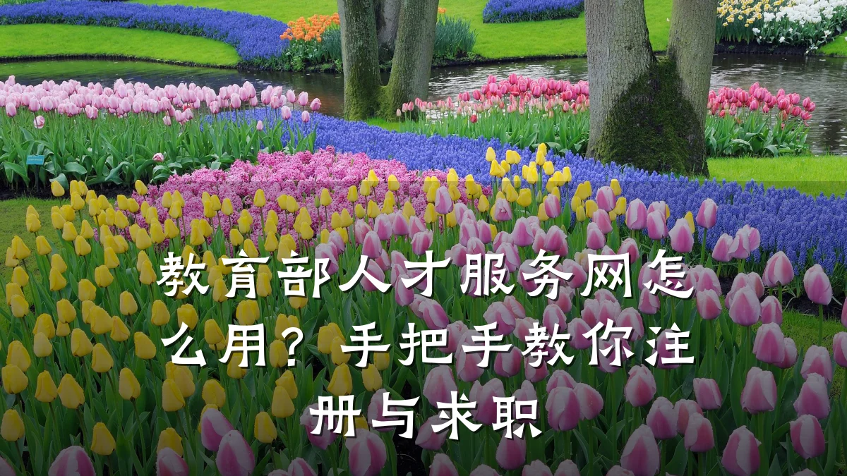 教育部人才服务网怎么用？手把手教你注册与求职