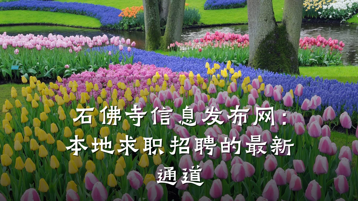 石佛寺信息发布网：本地求职招聘的最新通道