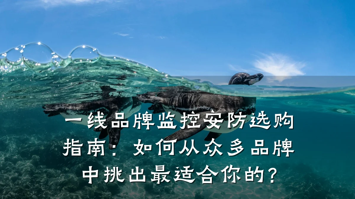 一线品牌监控安防选购指南:如何从众多品牌中挑出最适合你的?
