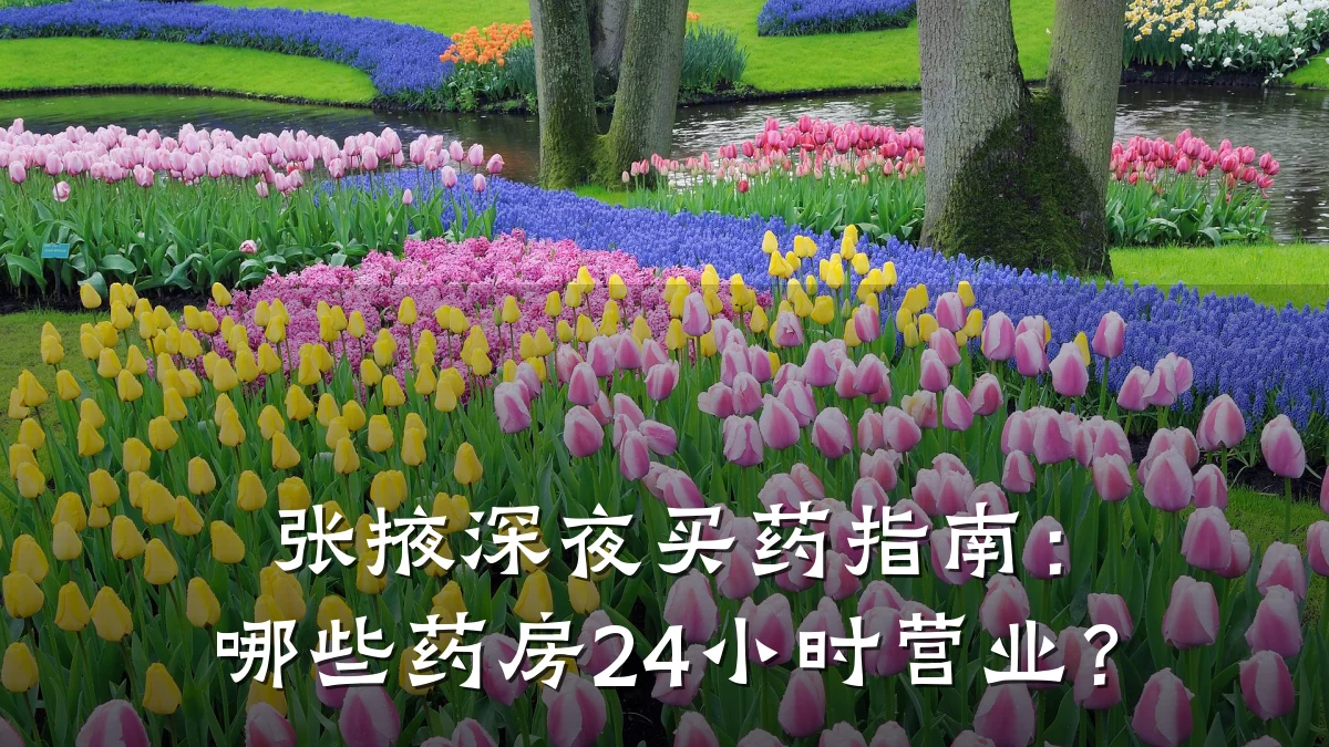张掖深夜买药指南：哪些药房24小时营业？
