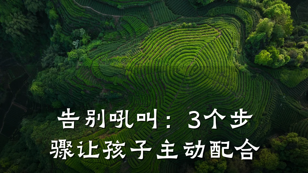 告别吼叫:3个步骤让孩子主动配合