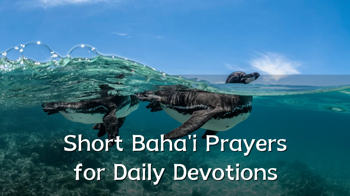 Short Baha'i Prayers for Daily Devotions