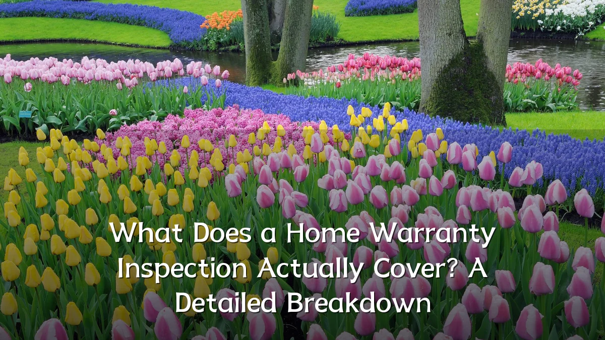 What Does a Home Warranty Inspection Actually Cover? A Detailed Breakdown