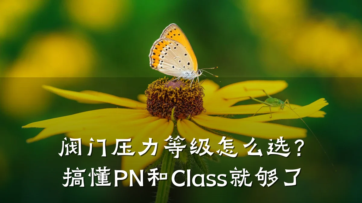 阀门压力等级怎么选?搞懂PN和Class就够了