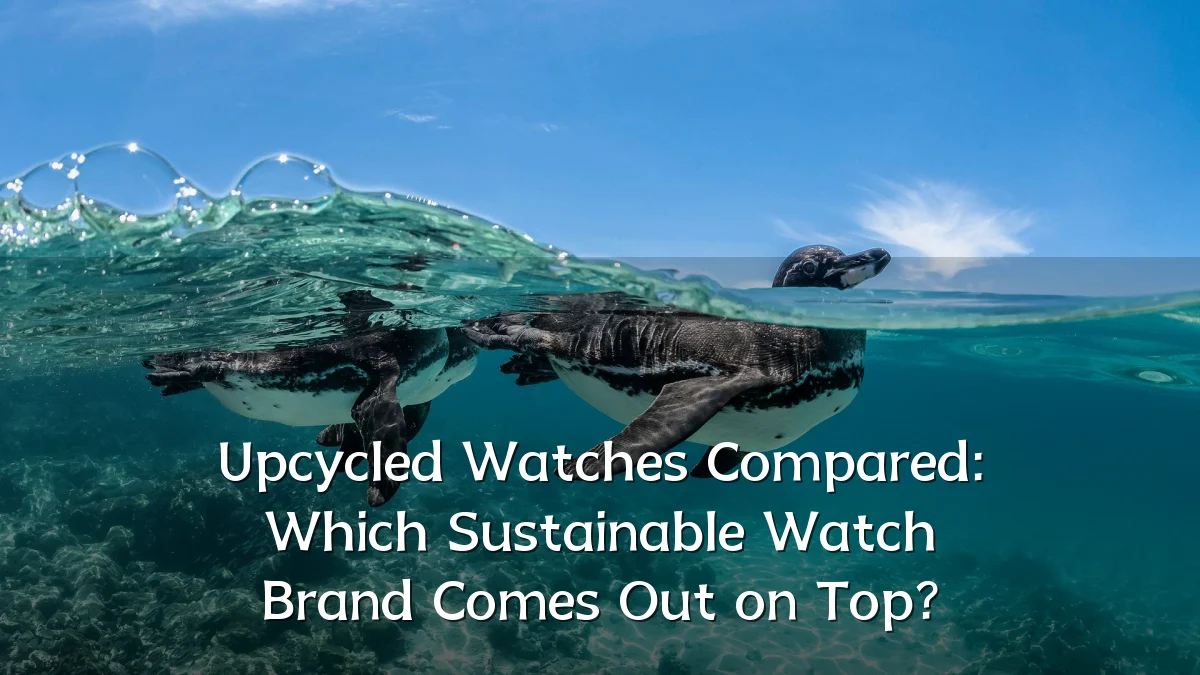 Upcycled Watches Compared: Which Sustainable Watch Brand Comes Out on Top?